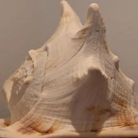 Im Bellerbektal Appartement Nortorf