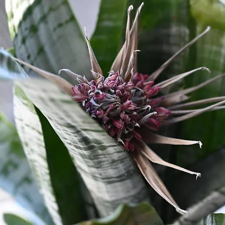 Im Bellerbektal * Nortorf