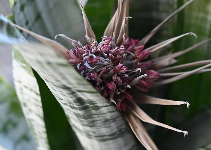 Im Bellerbektal * Nortorf